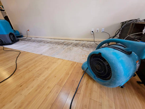Professional Water Damage Repair technician working in Saint Peter, MN